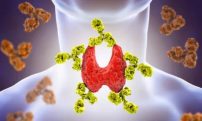 How thyroid influences your fertility
