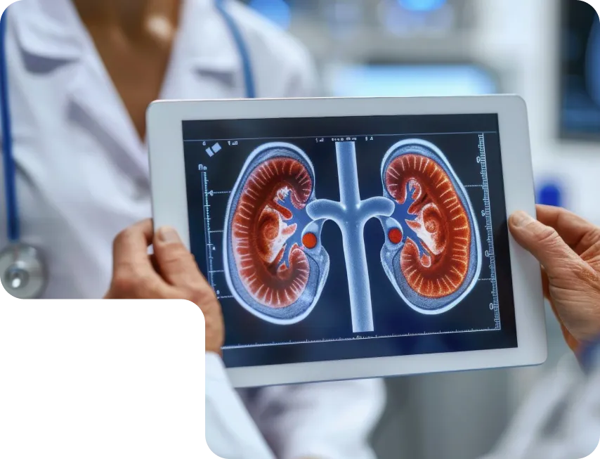 Nephrology