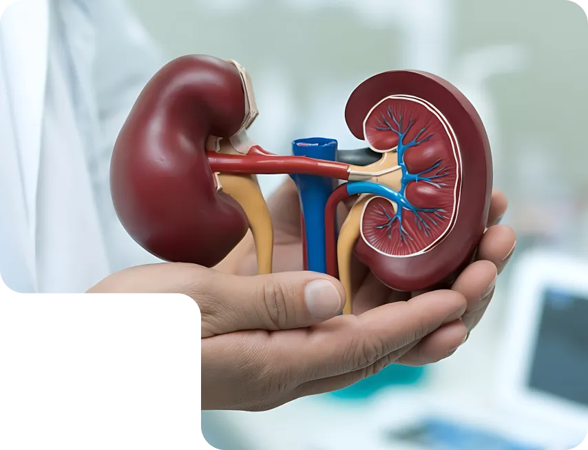 Urology