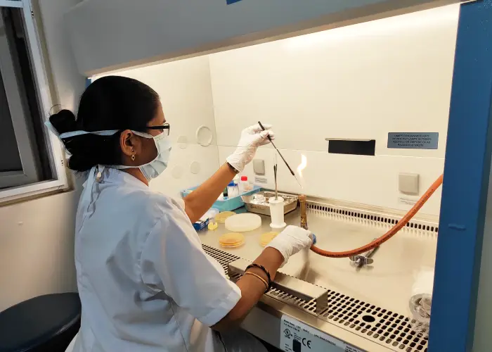 Hospital Laboratory Research image 3