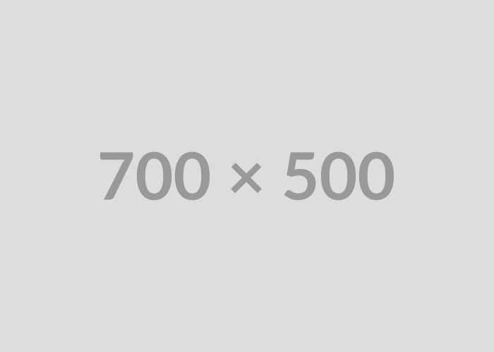 Placeholder 700x500 image 1