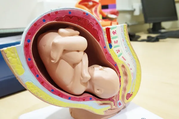 Maternity Hospital In Coimbatore