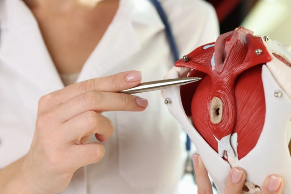 Organ Transplant