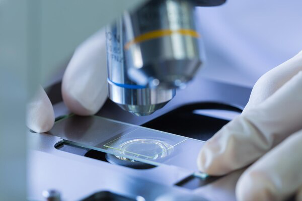 Immunohematology Laboratory