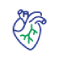 Cardiology Testi