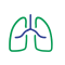 Pulmonology Testi