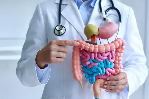 Gastroenterology Treatments And Procedure